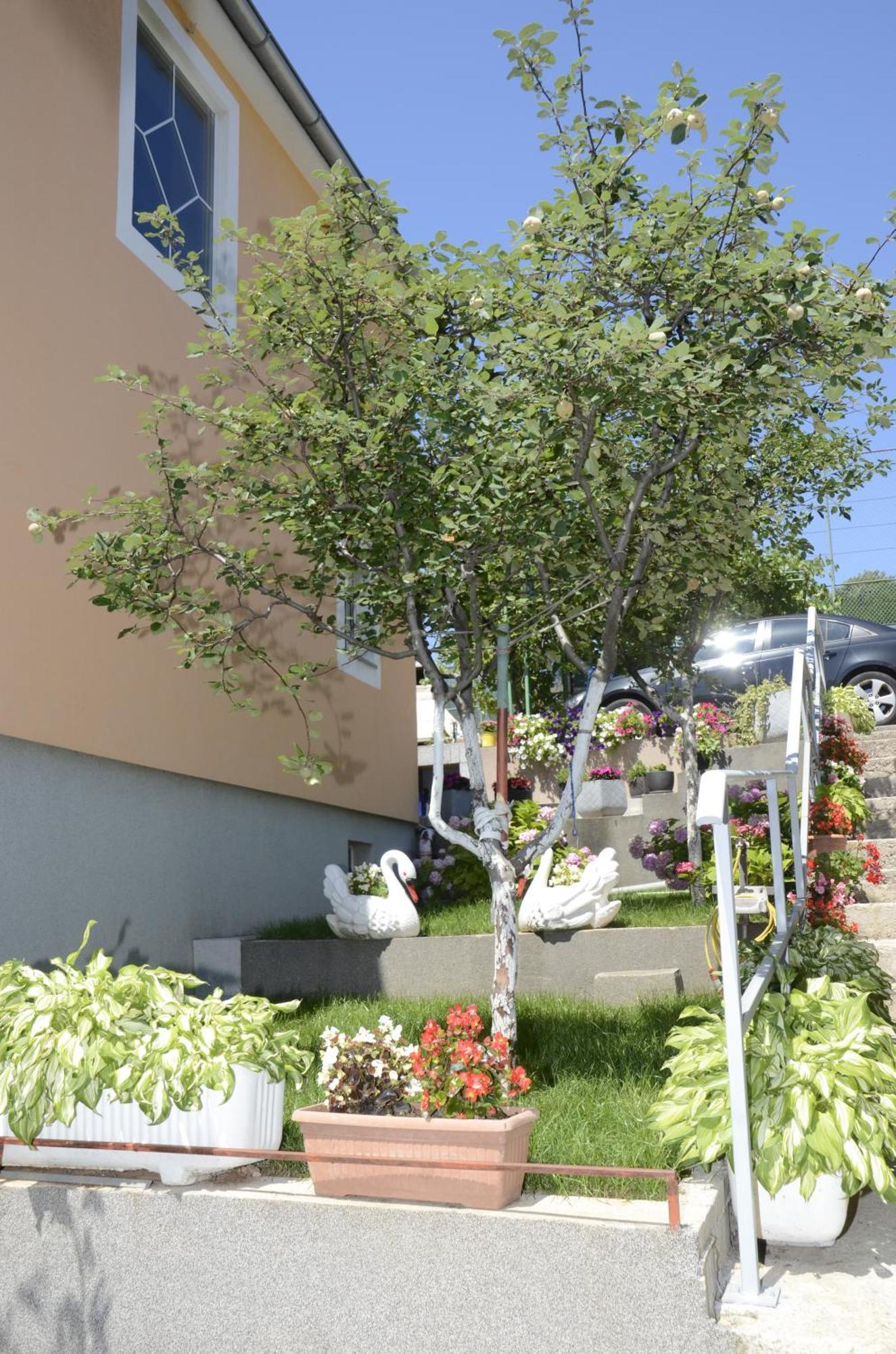 Apartments Lilly - Studio Rijeka Exterior photo